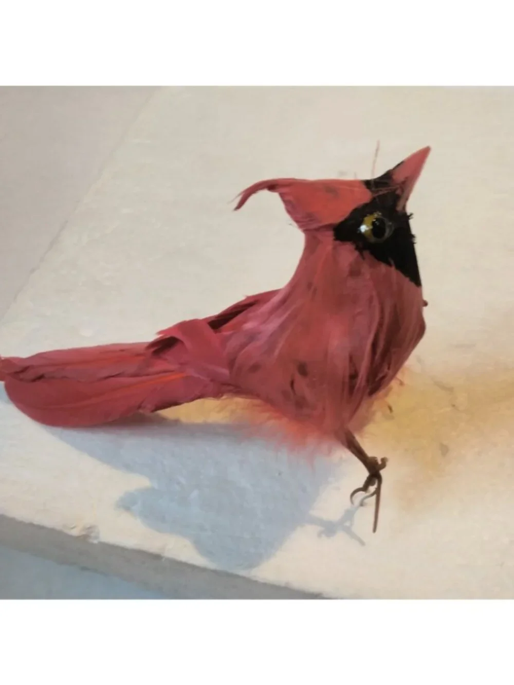 Red Cardinal Bird Figurine Ornament Feathers Wire Pick Craft Decoration Lot 4